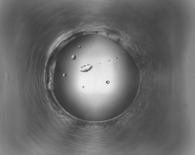 X0000078280340200611172102