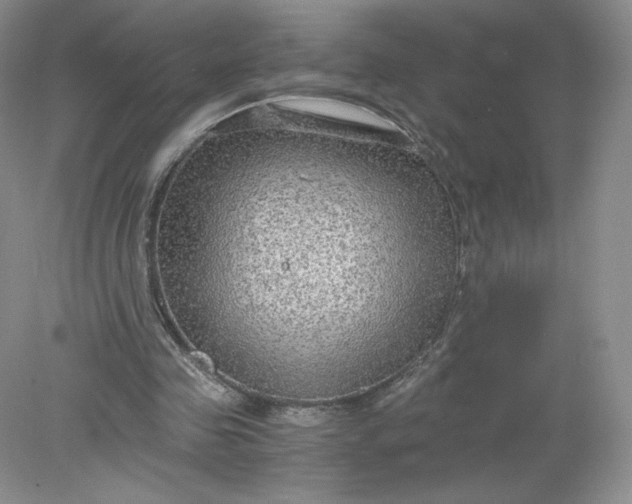 X0000078280341200611172102