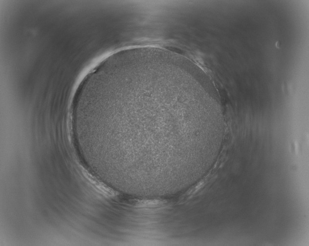 X0000078280342200611172102