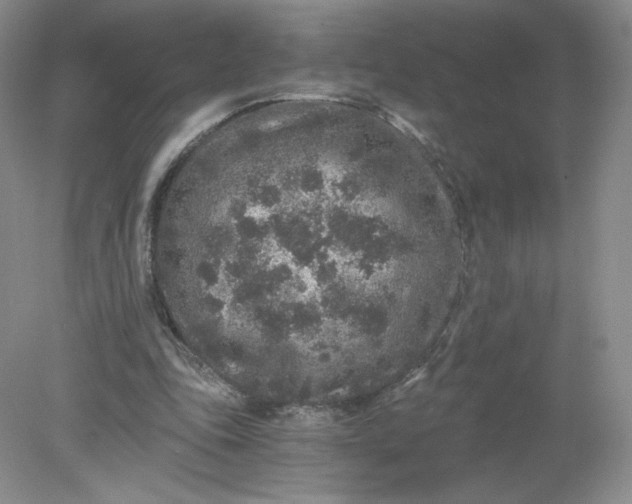 X0000078280343200611172102