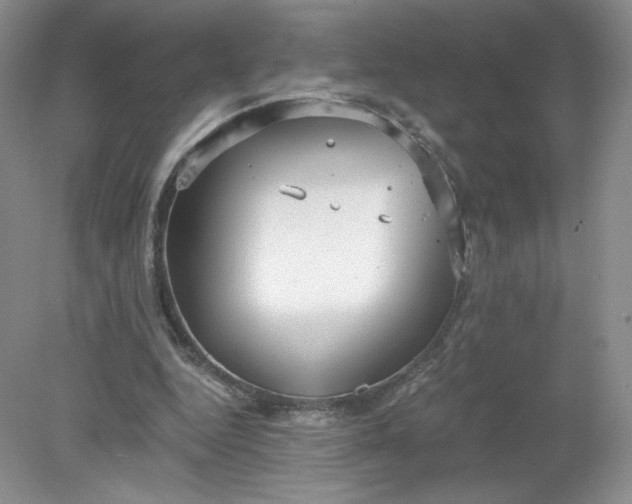 X0000078280344200611172102