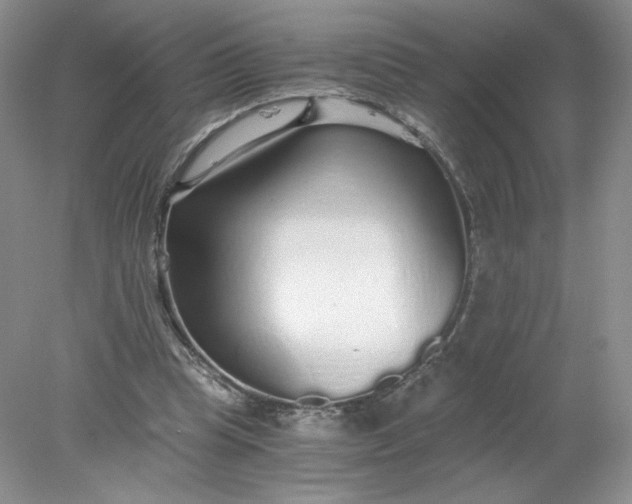 X0000078280345200611172102