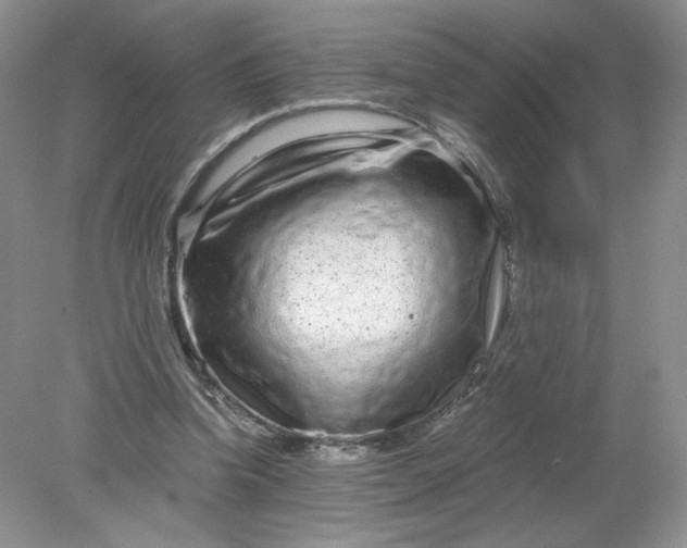 X0000078280346200611172102