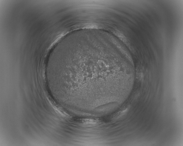 X0000078280347200611172102