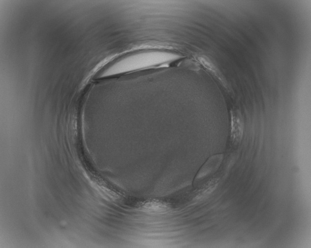 X0000078280348200611172102