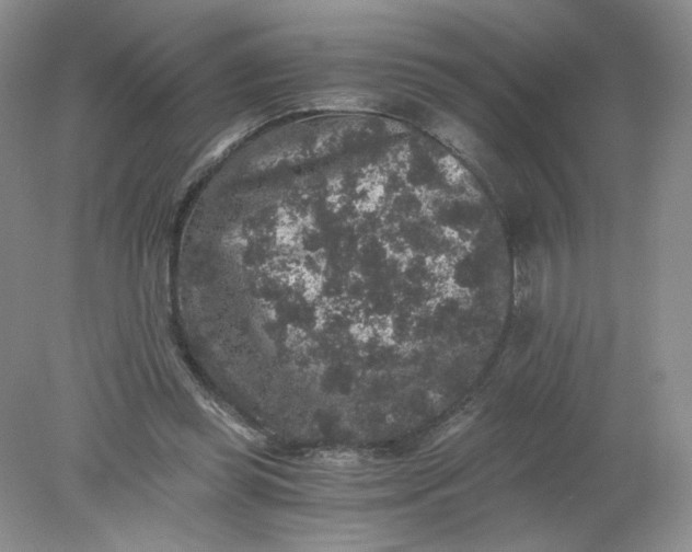 X0000078280349200611172102