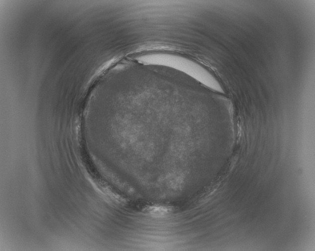 X0000078280352200611172102