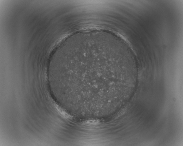 X0000078280353200611172102