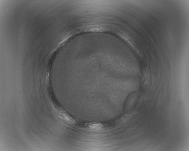 X0000078280355200611172102