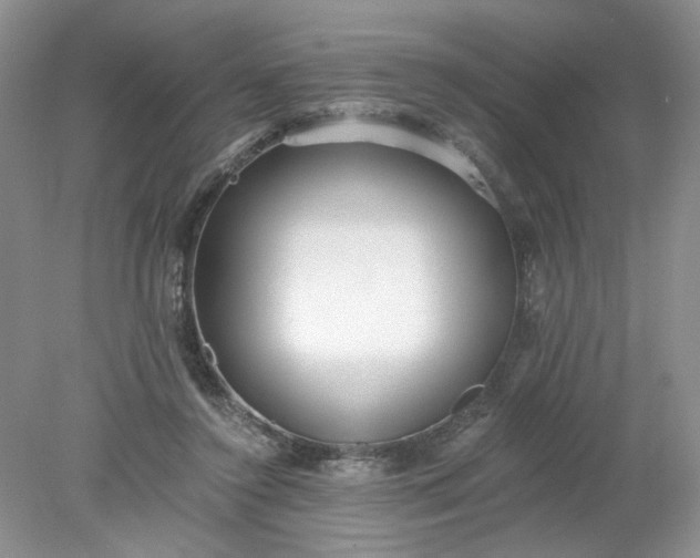 X0000078280356200611172102