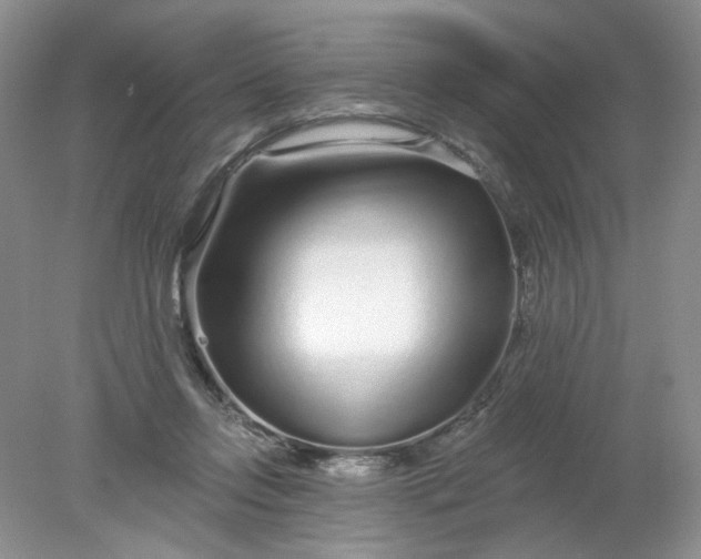 X0000078280358200611172102