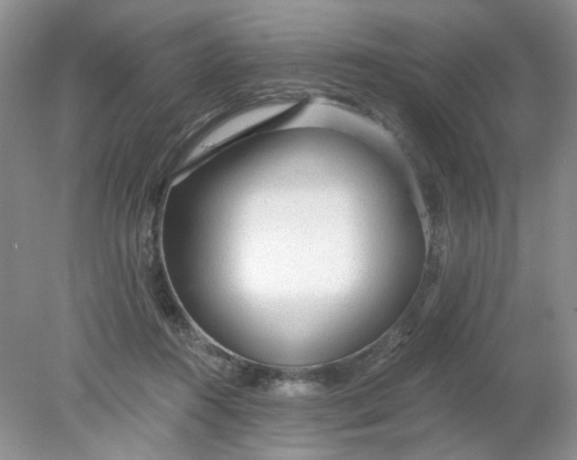 X0000078280360200611172102