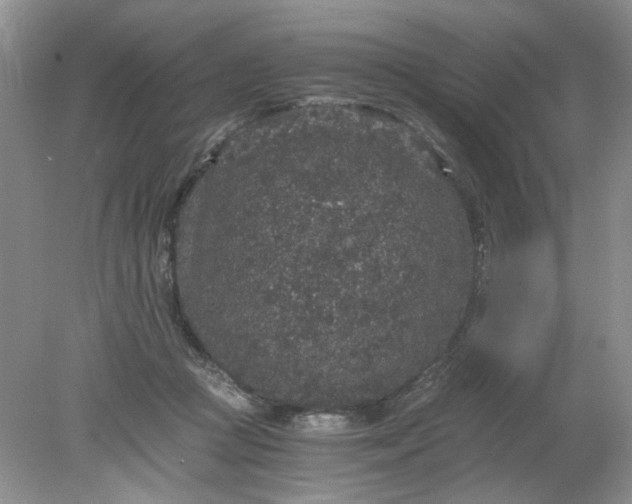 X0000078280361200611172102