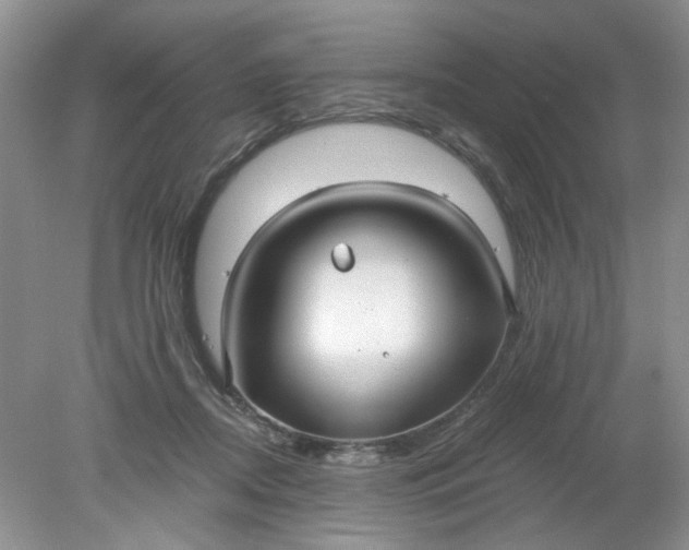 X0000078280362200611172102