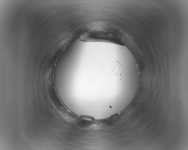 X0000078280364200611172102