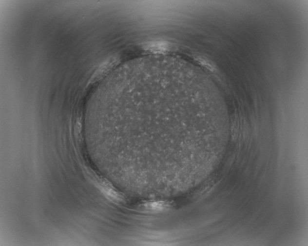 X0000078280365200611172102