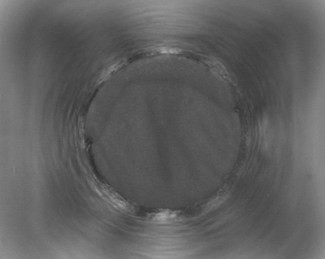 X0000078280366200611172102