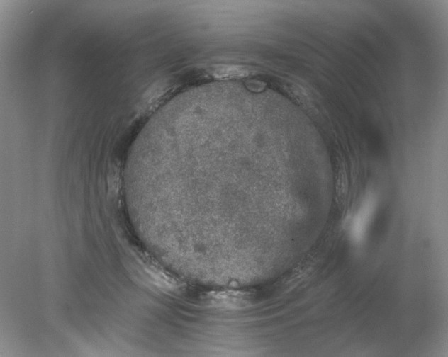 X0000078280367200611172102