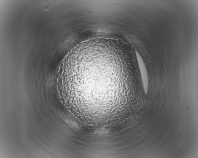 X0000078280369200611172102