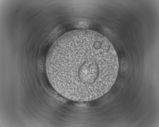 X0000078280370200611172102