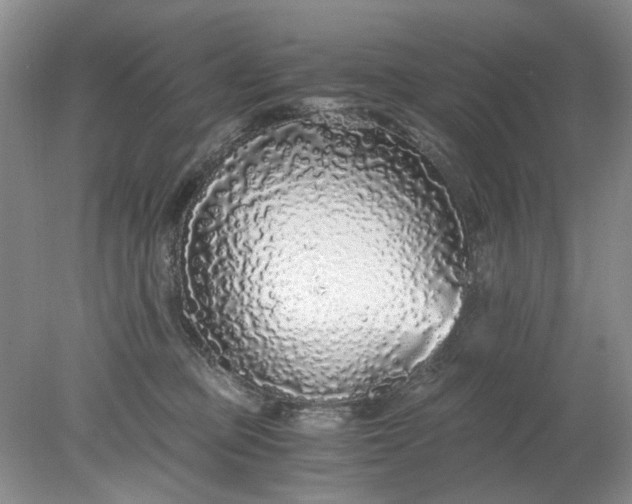 X0000078280373200611172102