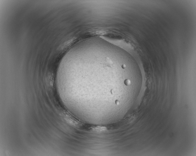 X0000078280374200611172102