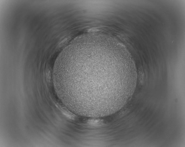 X0000078280375200611172102