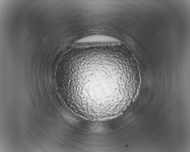 X0000078280377200611172103