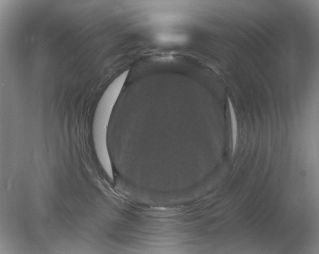 X0000078280380200611172103