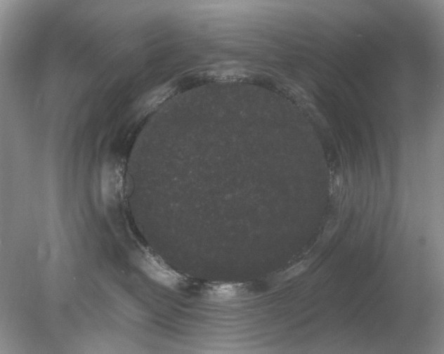 X0000078280382200611172103