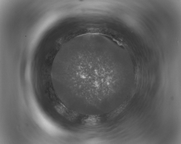 X0000078280383200611172103