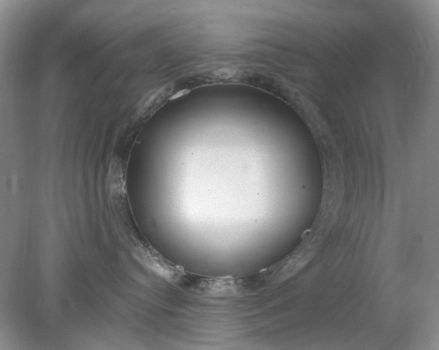 X0000078280384200611172103