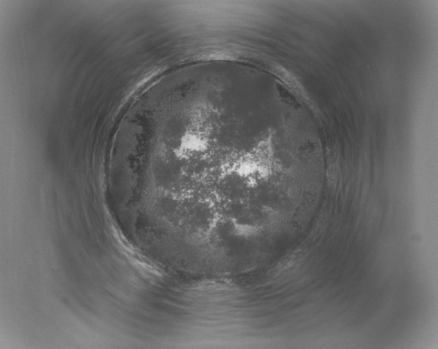 X0000078280386200611172102