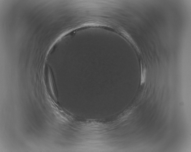 X0000078280387200611172102