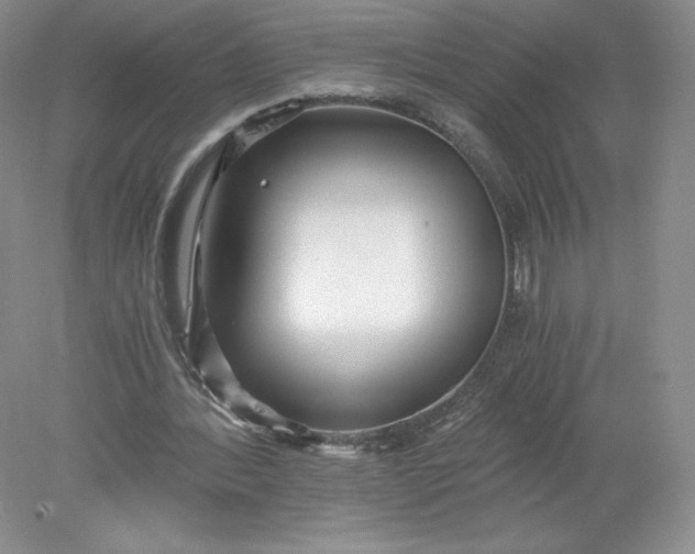 X0000078280388200611172102