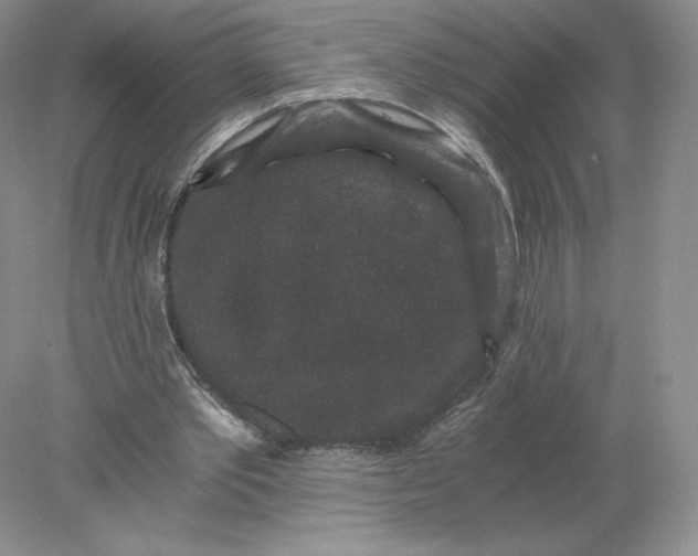 X0000078280389200611172102