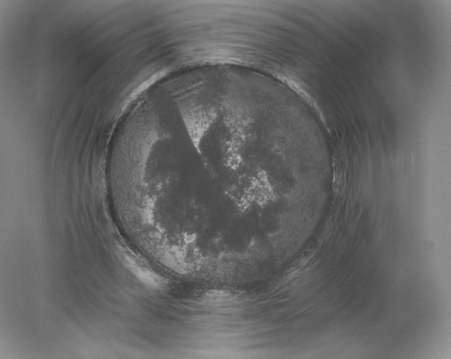 X0000078280390200611172102