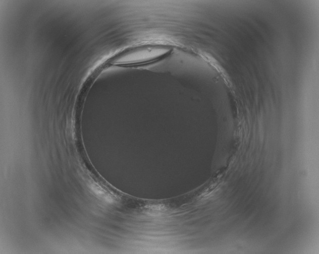 X0000078280391200611172102