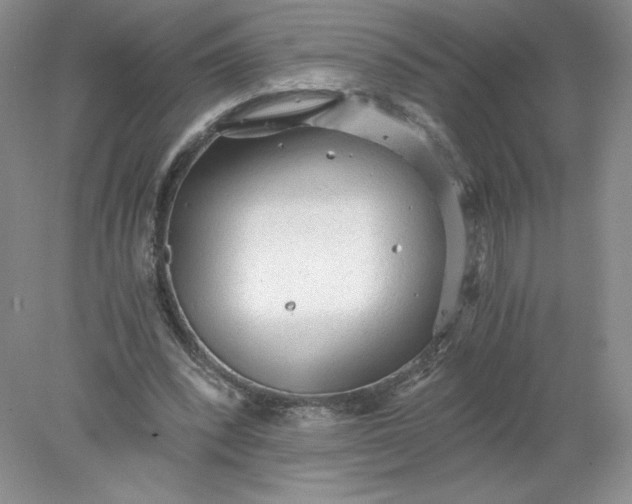 X0000078280392200611172102