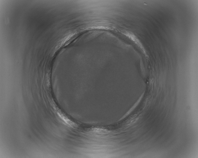 X0000078280393200611172102