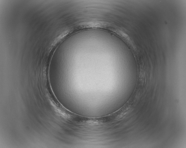 X0000078280394200611172102