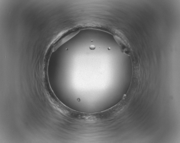 X0000078280395200611172102