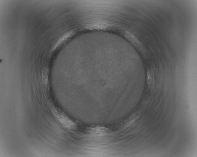 X0000078280396200611172102