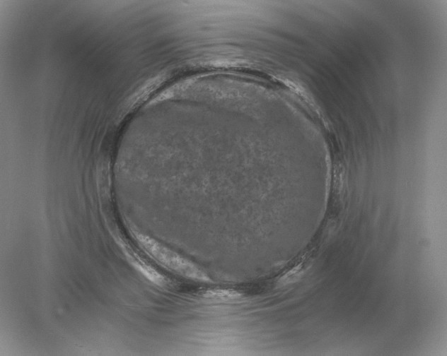 X0000078280397200611172102