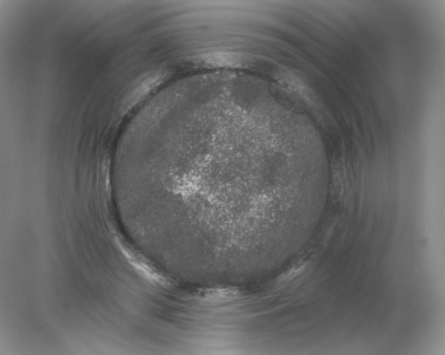 X0000078280398200611172102