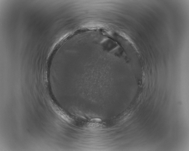 X0000078280399200611172102