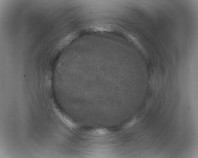 X0000078280402200611172102