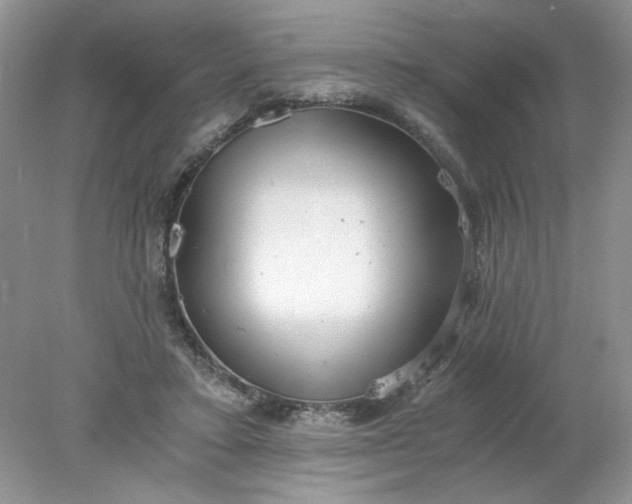 X0000078280403200611172102