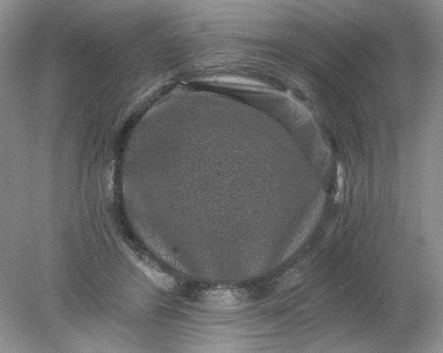 X0000078280404200611172102