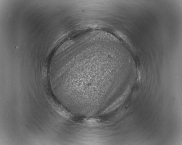 X0000078280407200611172101